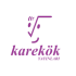 KAREKÖK YAYINLARI